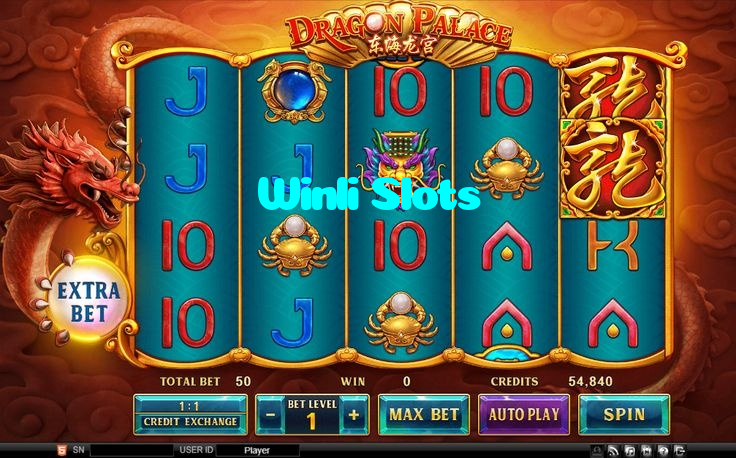 available types of Winli Slots bet including pre-match live express and system bets